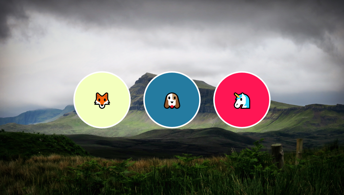 65+ CSS Hover Effects (Free & Open Source)